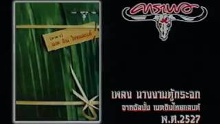 Video thumbnail of "นางงามตู้กระจก - เทียรี่ เมฆวัฒนา"