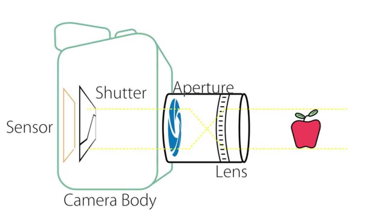 Camera Basics - Anatomy of a Camera - YouTube