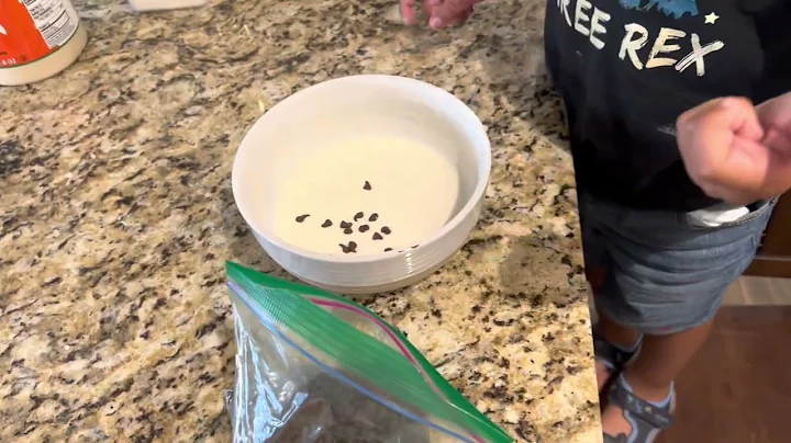 DIY Chocolate Chip Pancakes