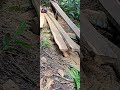 Toyama depois de 5 anos continua boa