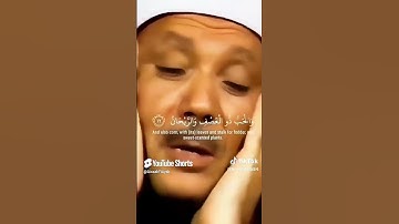 'ما+أجمل+هذا+الصوت!+تلاوة+خاشعة+تهز+الوجدان' 2