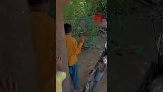 8din sa nai naha #viralvideo #likeandsubscribe #likeandsubscribe #majak #trendingshorts #majk #youtu