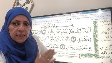 سورة الفيل تجويد واتقان