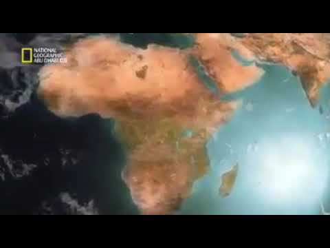 النسر الملتحي الطائر الوحيد آكل العظام 