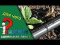 Капельная лента щелевая, для чего нужна и в чем преимущества