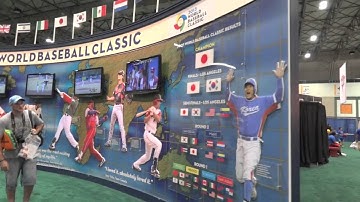 Fan Cave All-Star Adventure