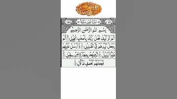 surah Al fil 105 | سورة الفيل - mishary rashid alafasy#surahfil #islamicvideo#surah#fil