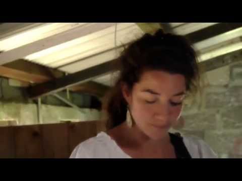 Polly Barrett - The Greater Good