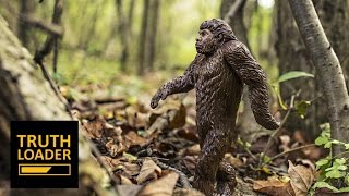 Bigfoot, Homeopathy And Ghosts (Popular Myths Explained) - Truthloader Bigfoot, Homeopathy And Ghosts (Popular Myths Explained) - Truthloader