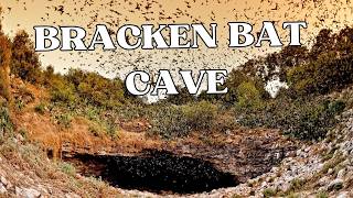 Bracken Bat Cave: Home to the World's Largest Bat Colony—Nature’s Hidden Wonder