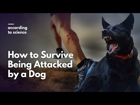 Video: How To Behave When Attacked