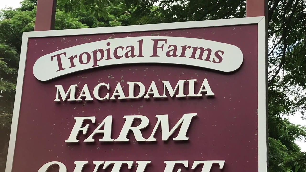 Tropical Farms Macadamia Nut Farm YouTube