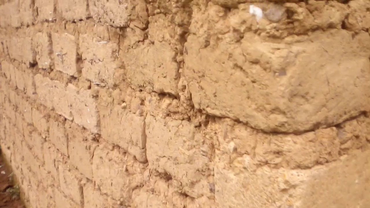 Tohoza INOTI S02 E01 Ubworozi bw'inkoko z'inyama, umushinga wunguka (, €, £) bitangaje