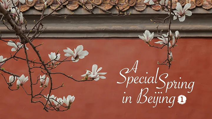 A special spring in Beijing｜Ep. 1: Flowers along Chang'an Avenue - DayDayNews