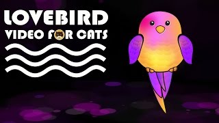 Cat Games - Lovebird! Video For Cats To Watch.
