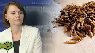 ΡΩΣΙΑ ΚΑΤΑ ΕΕ: «ΔΕΝ ΘΑ ΦΑΜΕ ΕΝΤΟΜΑ ΠΟΤΕ» – ΣΚΛΗΡΗ ΑΠΑΝΤΗΣΗ ΣΤΟ ΣΧΕΔΙΟ ΤΩΝ ΒΡΥΞΕΛΛΩΝ