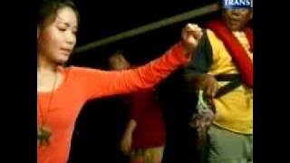 ONLINE DISPLAY SAMPLE VIDEO MANCING MANIA   TRANS 7