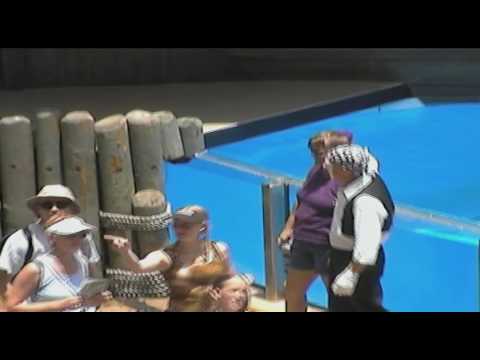 Sea World 2002 - part 01