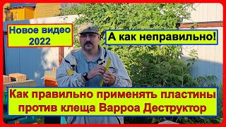 видео: 📘 Если уж и применять пластины от клеща Варроа, то правильные. Видео для начинающих пчеловодов 📘 картинка: 📘 Если уж и применять пластины от клеща Варроа, то правильные. Видео для начинающих пчеловодов 📘