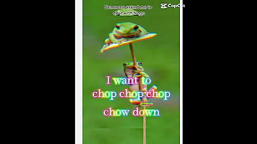 Someone Asked Me To Do Frogs So Here You Go Frogs Viral Ninja Funny Trending 