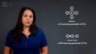 Carbon Cycle - Sustainability Masterclass