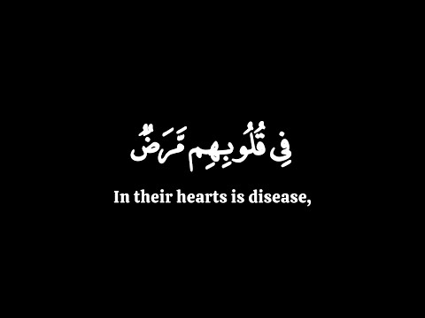 في قلوبهم مرض فزادهم الله مرضا ياسر الدوسري سورة البقرة كرومات قران شاشة سوداء