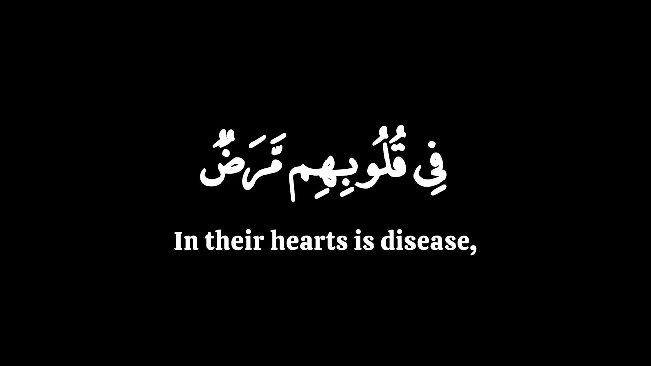 في قلوبهم مرض فزادهم الله مرضا | ياسر الدوسري سورة البقرة | كرومات قران شاشة سوداء