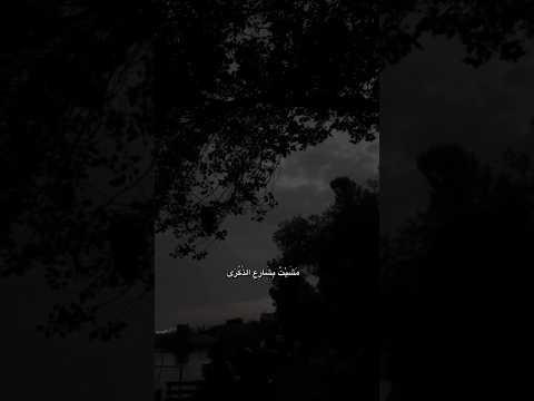 مشيت بشارع الذكرى نبيل الاديب