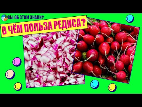 В чём польза редиса?