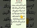 surah tin- سورۃ التین ✨ egzon ibrahimi recitation voice remix #shorts