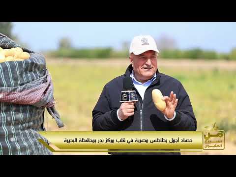 أصناف تقاوي بطاطس مذهلة لشركة دالتكس البليني وتايسون وعيشة إنتاج وجودة لقاء م حسن شعبان