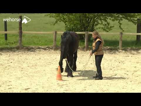 Das Zielspiel - Natural Horsemanship verstehen | Jenny Wild & Peer Claßen