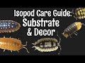 Isopod Care Guide Part 2: Substrate & Decor