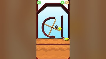 Dig This 64-12 Wonderball