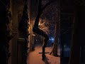 Another Snowy Night in TEHRAN | تهرانِ برفی