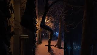 Another Snowy Night in TEHRAN | تهرانِ برفی