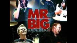 Mr. Big -  Arrow