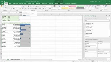 #16 Pro Tip Data Bars with Invisible Text  - Pivot Tables 101 Excel Tutorial