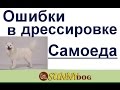 Основные ошибки в дрессировке самоеда