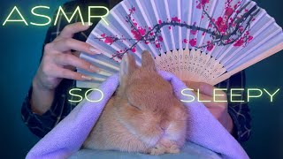 ASMR with Boba bunny! Relaxing triggers that puts even bunnies to sleep!