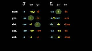 Review of Latin Nouns