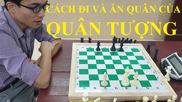 Cờ vua - Bài 8 - Cách đi và ăn quân của quân Tượng - Dạy bé chơi cờ vua