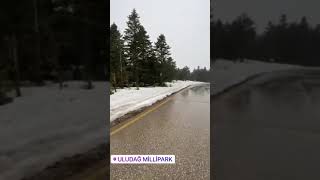 Araba Snapleri Uludağ