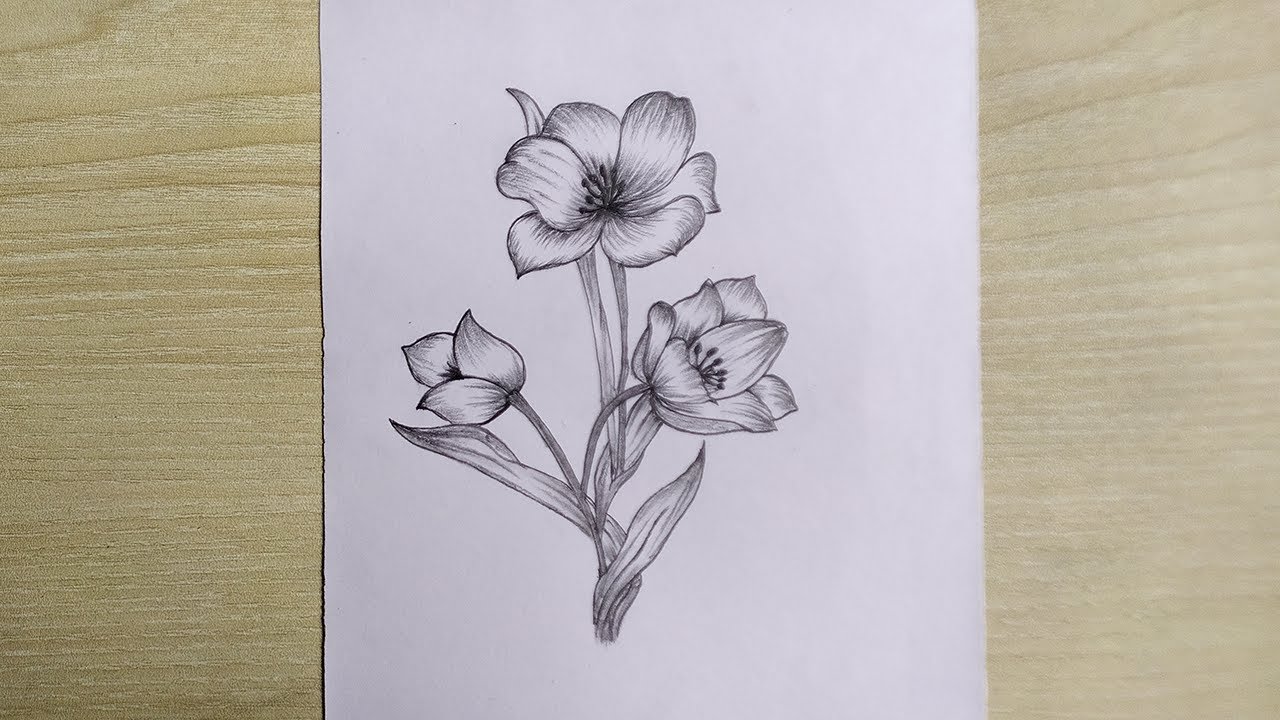 Beautiful Flowers Pencil Sketch Drawing Easy || Step By Step ...