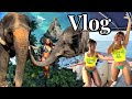 Phuket vlog trip to thailand 7 girls luxury villa  yacht elephants yona beach club  more