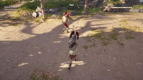 ANOTHER WOLF ANOTHER DAY : ASSASIN