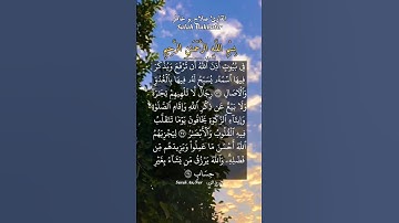 في بيوت أذن الله أن ترفع ويذكر فيها اسمه. ماتيسر من سورة النور بصوت القارئ صلاح بو خاطر.