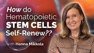 Stem Cells Complex Renewal Process