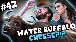 We Tried Cheese Made with Water Buffalo Milk! (Quadrello di Bufala) - #42