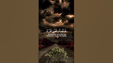 القرآن راحة النفسيه تلاوة خاشعة حالات واتس اب دينية مؤثرة